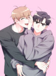 Cover 76100