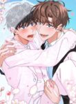 Cover 76208