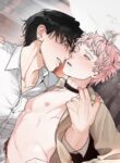 Cover 76210