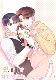 Cover 76242