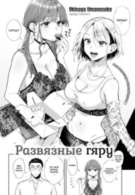 Cover 76386
