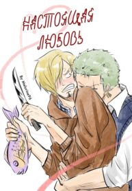 Cover 76534