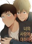 Cover 77013
