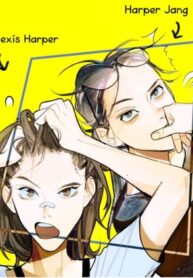 Cover 77058