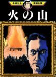 Cover 77215