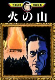 Cover 77215