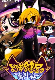Cover 77234