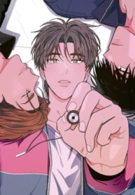 Cover 77319