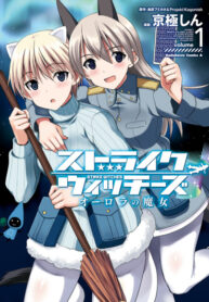Cover 77323