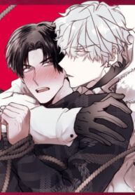 Cover 77449