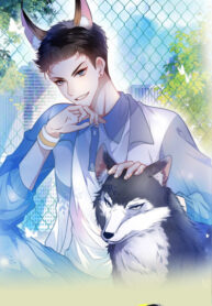 Cover 77586