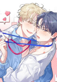 Cover 77590