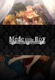 Cover 77675