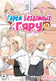 Cover 77677