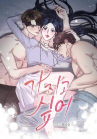 Cover 77823