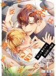Cover 77873