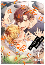 Cover 77873