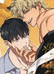 Cover 78007