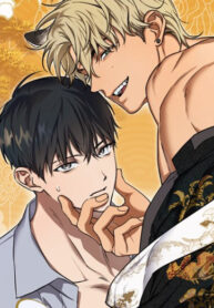 Cover 78007