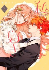Cover 78011