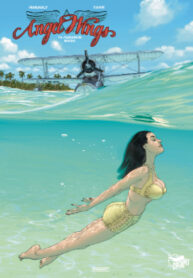 Cover 78163