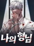 Cover 78243