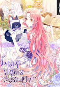 Cover 78281