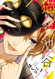 Cover 78355