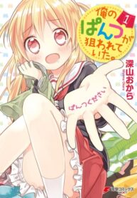 Cover 78454