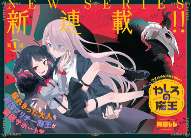Cover 78481
