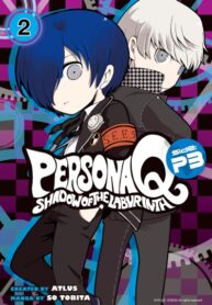 Cover 78485