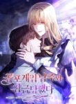 Cover 78497