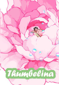 Cover 78579
