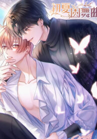 Cover 78581