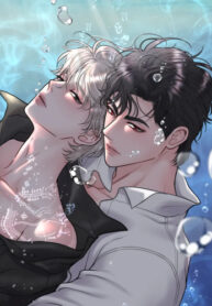 Cover 78587