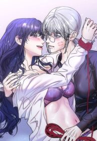 Cover 78868