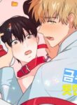 Cover 78878