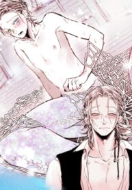 Cover 78884