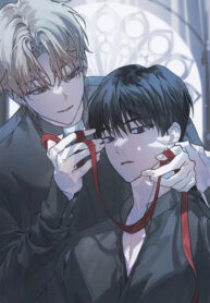 Cover 78886