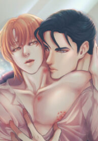 Cover 78916
