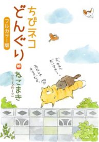 Cover 78948