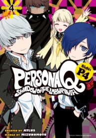 Cover 79026
