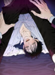 Cover 79041