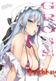 Cover 79069