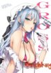 Cover 79069