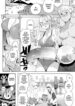 Cover 79086