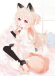 Cover 79095