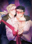 Cover 79258