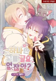 Cover 79379