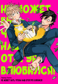 Cover 79381